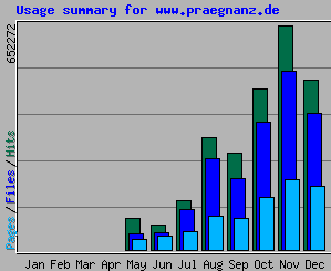 Das Jahr im Webalizer