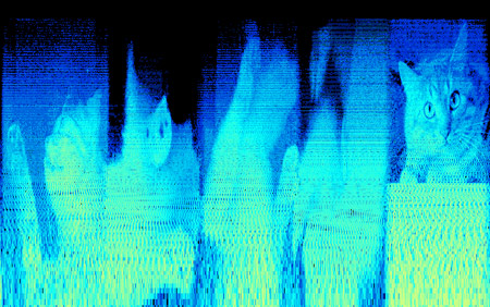 Frequenzanalyse Bilder