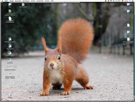 Eichh�rnchen